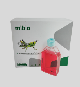 MZ-CRC-1人髓樣甲狀腺癌細胞主圖