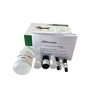 6-磷酸葡萄糖酸脫氫酶(6PGDH)試劑盒(WST-8法)分光法/48樣主圖