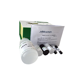 抗脂質(zhì)過(guò)氧化能力/LPO抑制率測(cè)定試劑盒微板法/96樣主圖