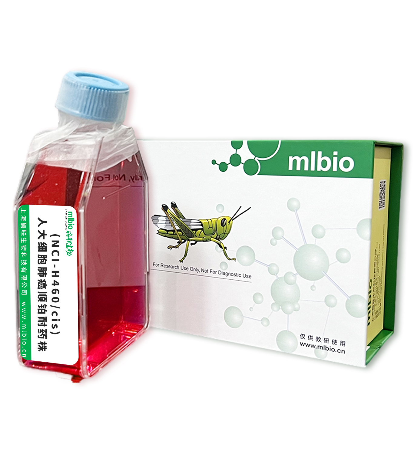 (NCI-H460/cis)人大細胞肺癌順鉑耐藥株主圖