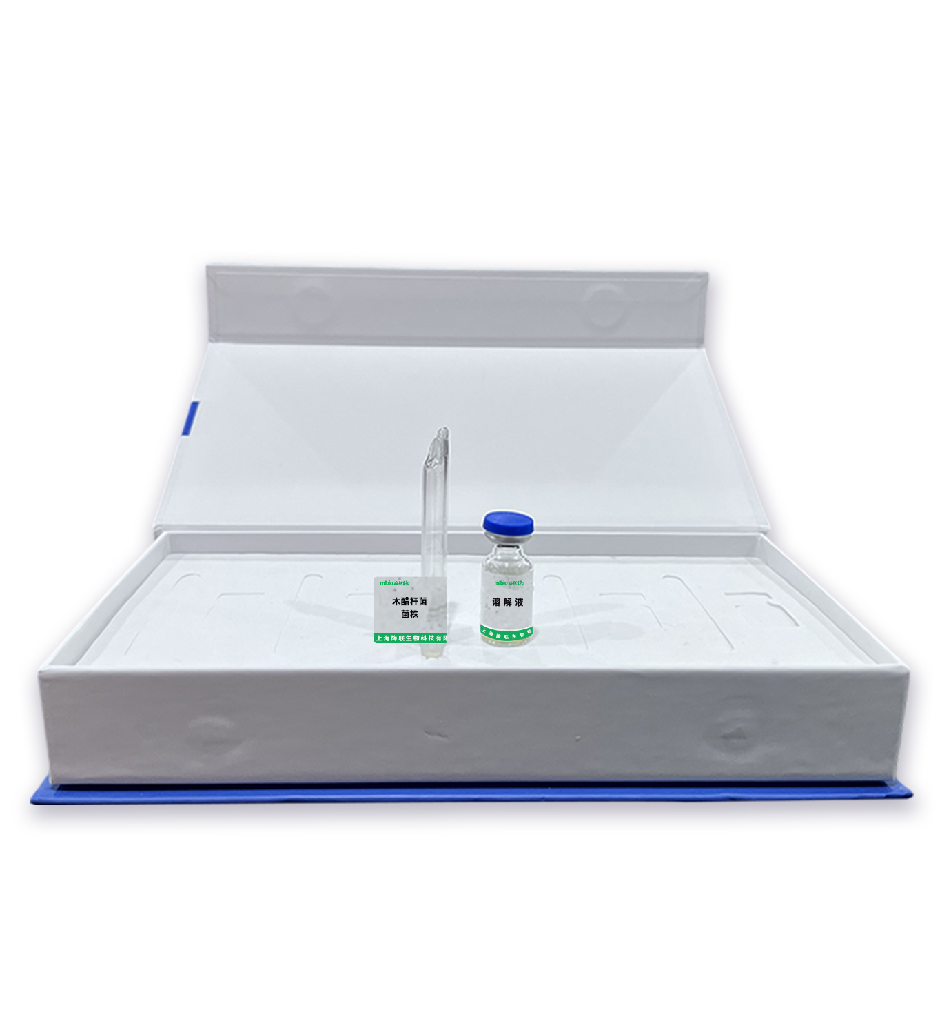 木醋桿菌菌株主圖