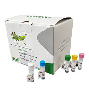 嗜水氣單胞菌探針法qPCR試劑盒(不含內參)主圖