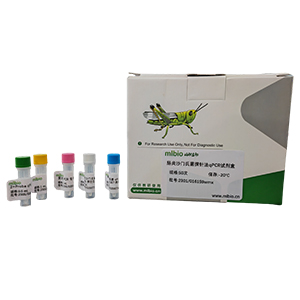 煙草環斑病毒探針法qRT-PCR試劑盒(不含內參)主圖