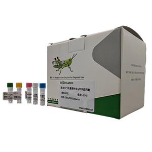 黑龍江立克次體探針法qPCR試劑盒(不含內參)主圖