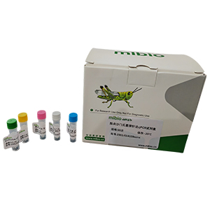 人腺病毒D31型探針法qPCR試劑盒(不含內參)主圖