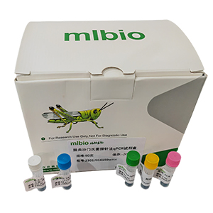 人腺病毒D72型探針法qPCR試劑盒(不含內參)主圖