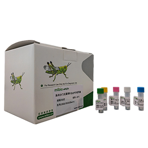 分枝桿菌屬通用探針法qPCR試劑盒(不含內(nèi)參)主圖