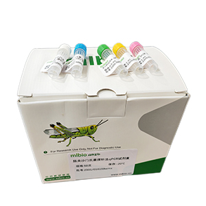 牛副流感病毒3型探針法qRT-PCR試劑盒(不含內參)主圖