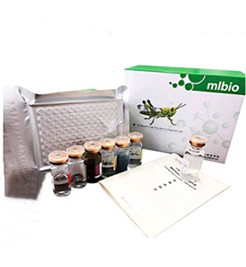 小鼠可溶性血栓調節蛋白(sTM)ELISA檢測試劑主圖