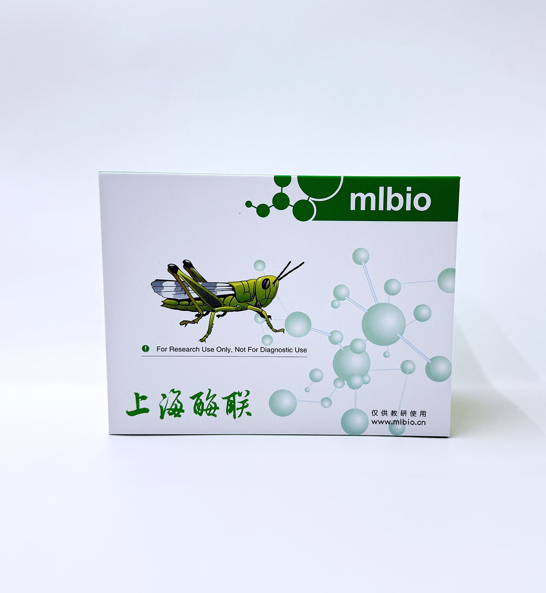 小鼠神經(jīng)酰胺（ceramide）ELISA檢測(cè)試劑盒 主圖