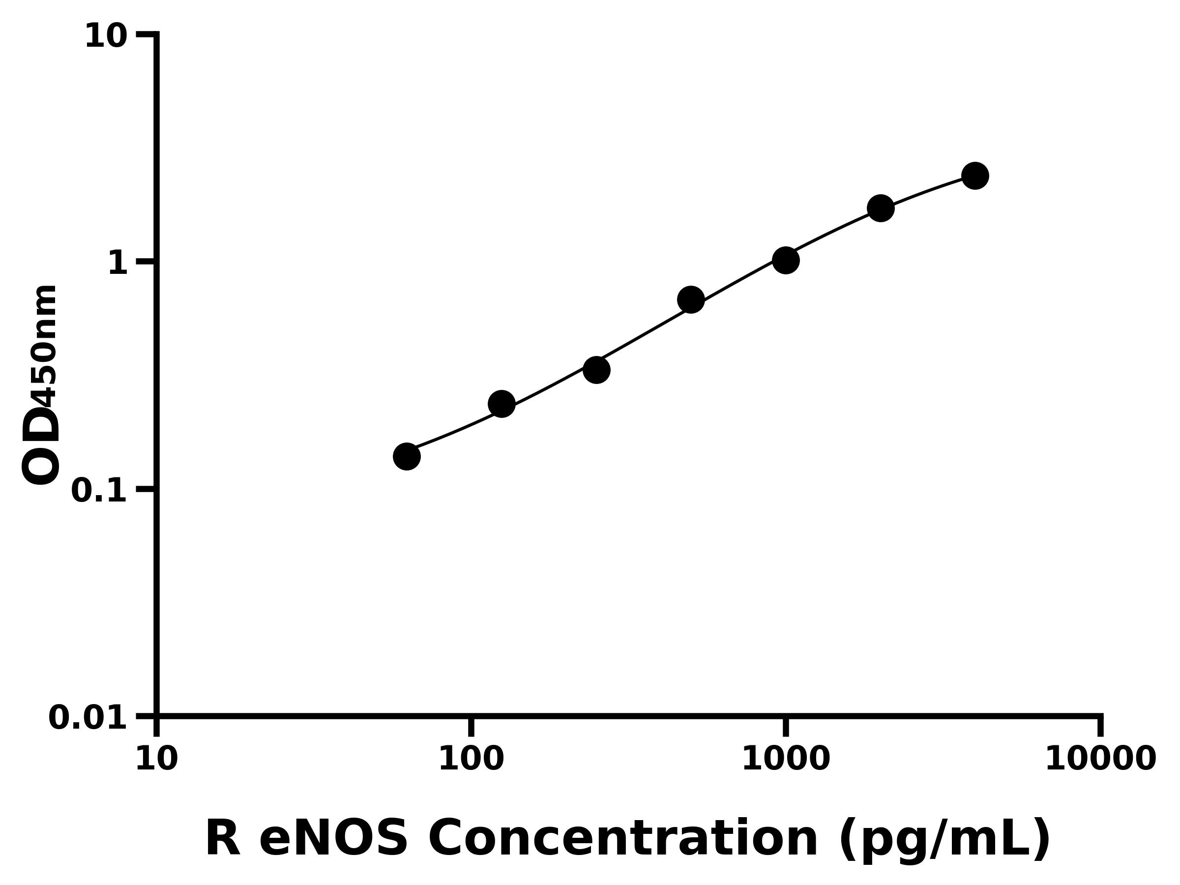 大鼠內皮型一氧化氮合酶(eNOS)主圖