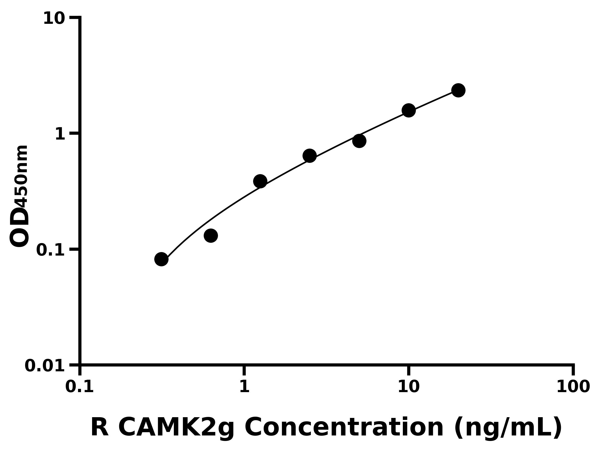 大鼠鈣/鈣調蛋白依賴性蛋白激酶Ⅱ&gamma;(CAMK2g)主圖